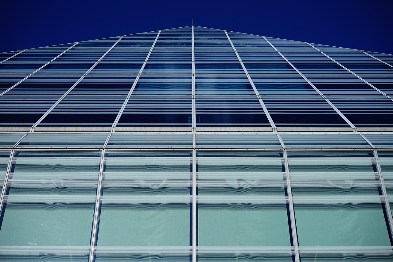 Guida completa: come usare il Lavavetri Magnetico per finestre perfette